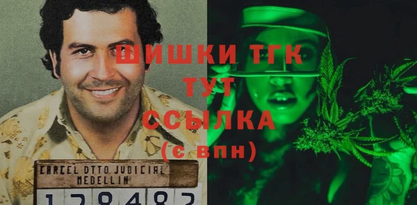 гашик Арсеньев