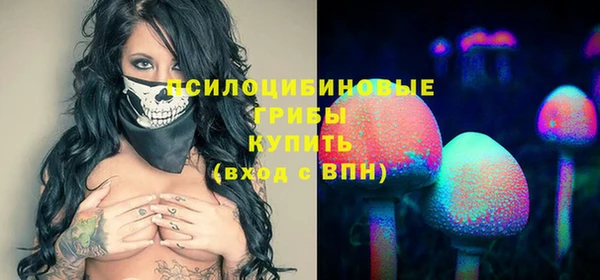 гашик Арсеньев
