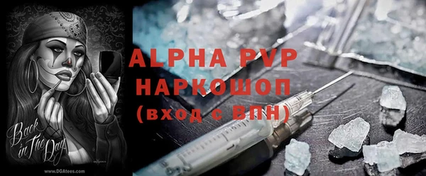 гашик Арсеньев
