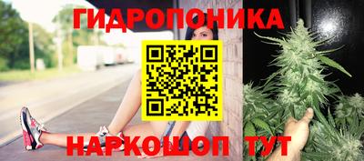 СК Краснознаменск