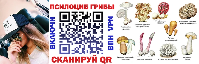 Псилоцибиновые грибы мухоморы  где купить наркоту  Кубинка 