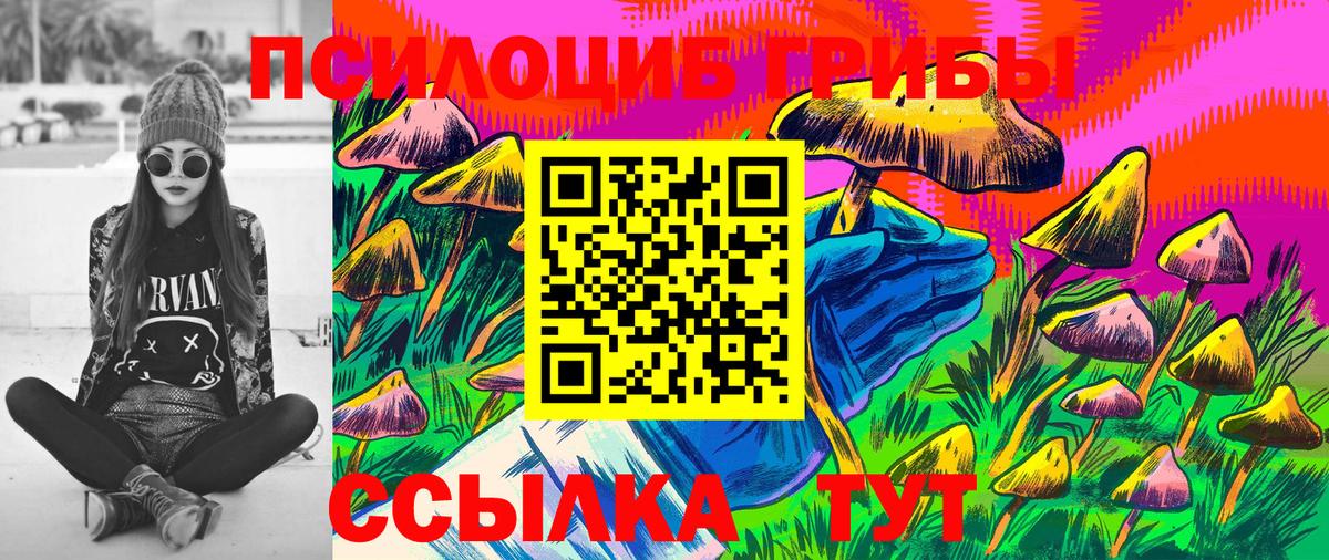 Галлюциногенные грибы Psilocybe  Псилоцибиновые грибы мицелий  Вход с VPN  Кубинка 